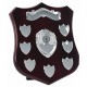 Champion Annual Shield