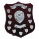 Champion Annual Shield