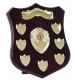 Champion Annual Shield Gold