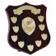 Champion Annual Shield Gold