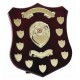 Champion Annual Shield Gold
