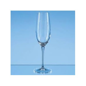 Allegro champagne Flute 235ml (12)